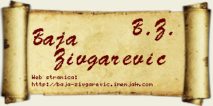 Baja Zivgarević vizit kartica